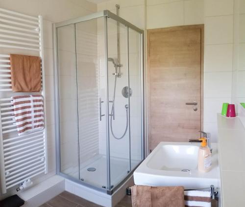 a bathroom with a shower and a white tub at Gästehaus Aßlschwang in Freystadt