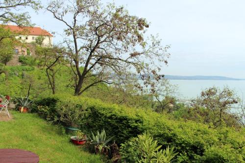 ティハニにあるCsizmazia Apartmanの水辺の景色を望む植物園