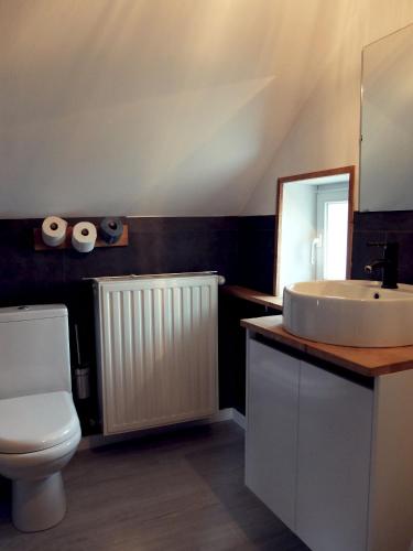 une salle de bain avec un lavabo, des toilettes et un miroir dans l'établissement Le Thé au Jardin, à Saint-Julien-de-Civry