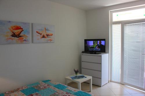 a bedroom with a bed and a tv and a window at Apartments Oaza Regi in Medulin