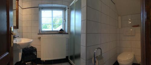 a bathroom with a shower and a toilet and a sink at Maison Jost in Burg-Reuland