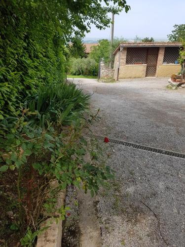Φωτογραφία από το άλμπουμ του Agriturismo Il Solaio σε Rapolano Terme