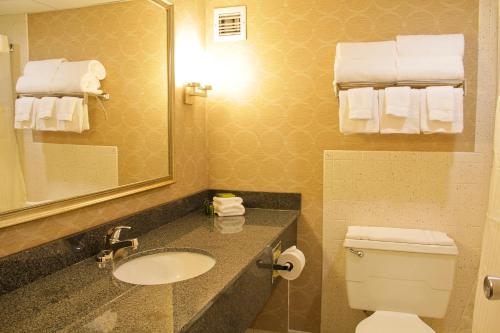a bathroom with a sink and a toilet and a mirror at Decatur Conference Center and Hotel in Decatur