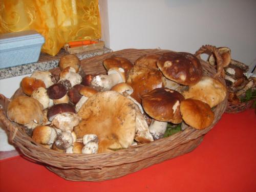 a basket filled with lots of mushrooms on a table at Agriturismo Miracco Atanasio Franco "Il Maniero" in Santa Sofia dʼEpiro