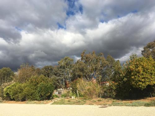 a group of trees and clouds in the sky at Byer Fountain Motor Inn in Holbrook