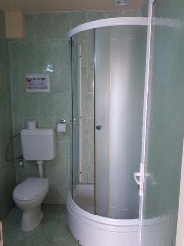 a bathroom with a toilet and a glass shower at Pensiunea Harttas in Maliuc