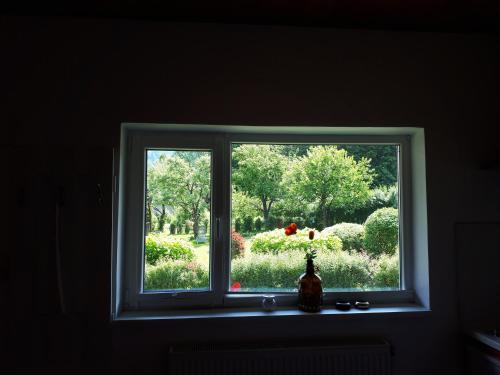a window with a view of a garden outside at Lucky Lady in Spital am Pyhrn