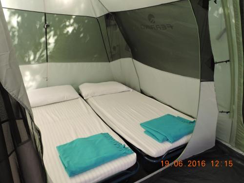 two beds in the back of a tent at Camping Reale in Porto Azzurro
