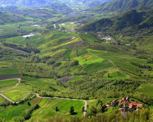 an aerial view of a green valley with houses at Tenuta Terensano in Monleale