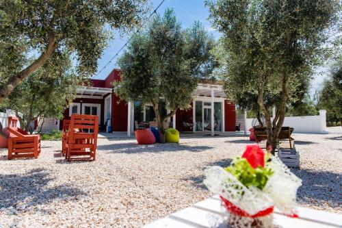 a garden with chairs and trees in front of a house at Tenuta Amostuni-Country House in Ostuni