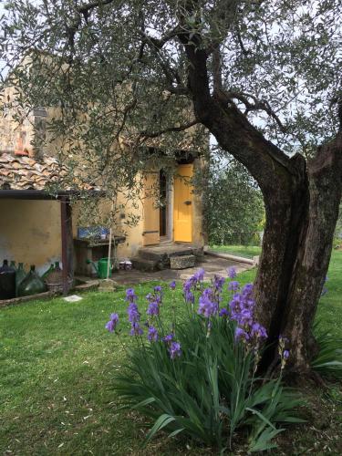 Taman di luar Settignano Tuscany Homes