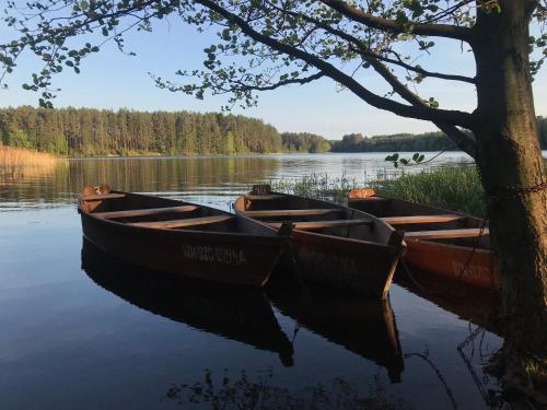 Gallery image of Ośrodek Wypoczynkowy "Na Cyplu" Spychowo in Spychowo