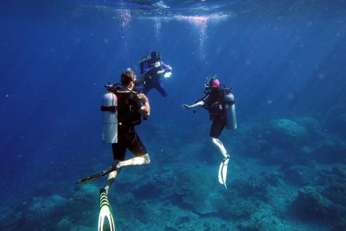 three people are scuba diving in the ocean at Quiver Dive Team Perhentian Dorm in Perhentian Island