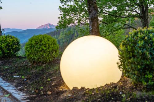 a white orb sitting in the grass next to trees at IXUA Hotela in Éibar