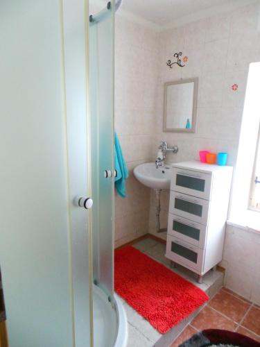 a bathroom with a shower and a sink with a red rug at Penzion Tomy Pihlov in Horní Planá