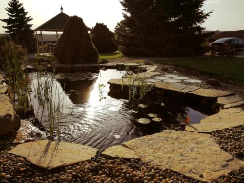 a garden with a pond with rocks and afficientfficientfficientfficientfficient at Elisoria Apartments in Cserszegtomaj