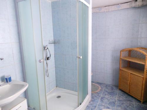 a bathroom with a shower and a sink at Penzion Tomy Pihlov in Horní Planá