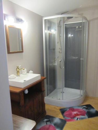 W łazience znajduje się prysznic i umywalka. w obiekcie Le Piquet w mieście Fonsorbes