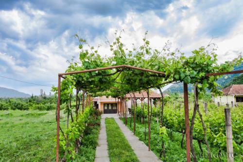 a garden with a pergola in a field at Guesthouse Bato in Virpazar