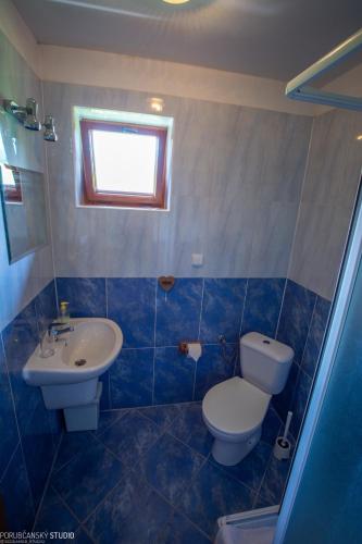 a bathroom with a toilet and a sink at Penzion Muran in Terchová