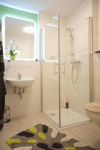 a bathroom with a shower and a sink at Ferienwohnung Lörrach in Lörrach