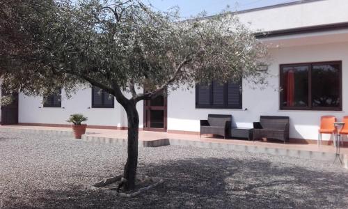 Κήπος έξω από το B&B Il Giardino di Zefiro