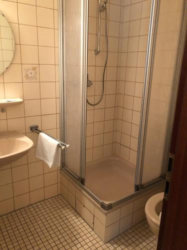 a bathroom with a shower with a sink and a toilet at Hotel Südheide in Hermannsburg