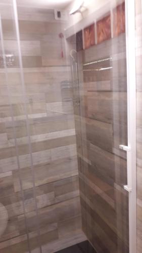 a shower with a glass door in a bathroom at l'arco di Sersa in Riccò del Golfo di Spezia