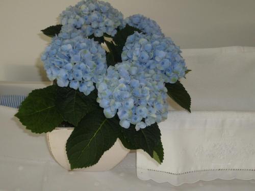 a bouquet of blue flowers in a white vase at De Moeraseik in Zele