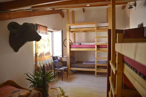 a room with two bunk beds and a window at Gerry `s Backpacker in Konstanz