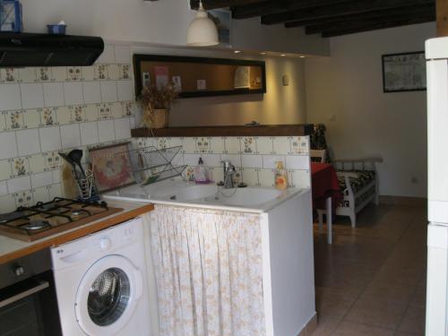 a kitchen with a sink and a washing machine at Le Clos des Alouettes in Amboise