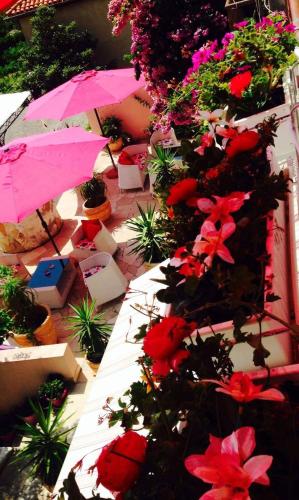 Gallery image of Luxury Apartments Marhella & Jakov in Makarska