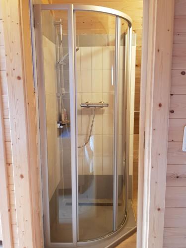 a shower with a glass door in a room at Almhütte auf der Laußnitz Alm - Auszeit in schöner Bergidylle auf 1836m in Rennweg