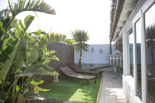 Casa MM tropical garden