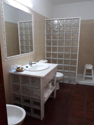 y baño con lavabo, aseo y espejo. en Casa de Campo Quinta São Jorge, en Reguengos de Monsaraz