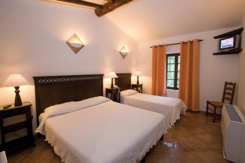 a hotel room with two beds and a television at L'Enclos des Lauriers Roses in Cabrières