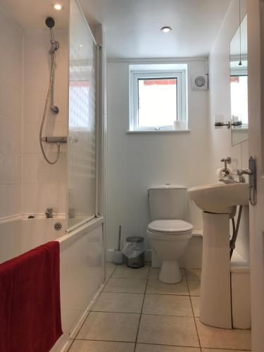 y baño con aseo, lavabo y ducha. en Yves town cottage, en Exmouth