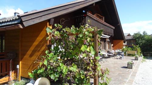 Zahrada ubytování AlpinResort DerBacherhof