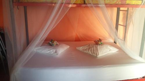 een wit bed met twee teddyberen erop bij Prune de Coton in Deshaies