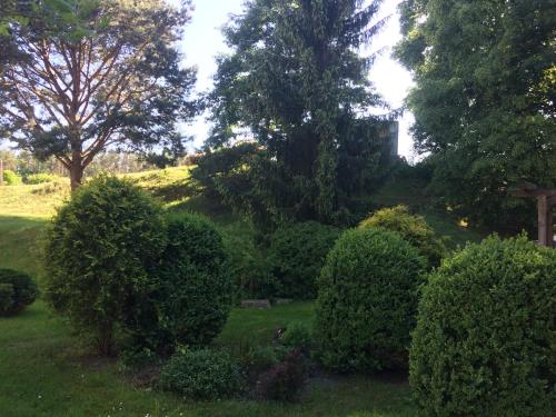 a garden with bushes and trees on a hill at Pension Zum alten Gasthaus Hänsel in Krauschwitz