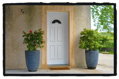 deux vases avec des plantes en face d'une porte dans l'établissement La Devoisiere, à Saint-Drézéry