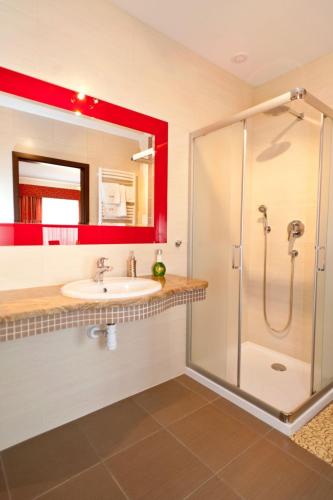 a bathroom with a shower and a sink and a mirror at Pokoje De Luxe Figaro in Płock