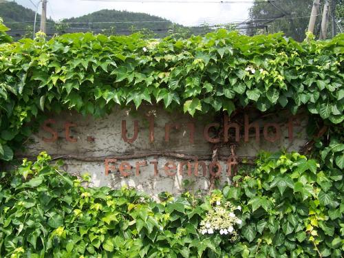 a sign covered in green plants on a wall at St. Ulrichhof in Lana