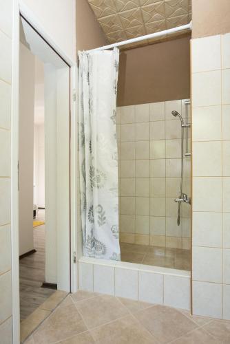 a shower with a shower curtain in a bathroom at Apartment Antonio in Vir