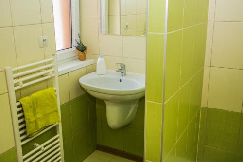 a green and white bathroom with a sink and a mirror at Penzion Fako in Liptovský Mikuláš