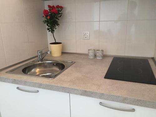 Kuchyňa alebo kuchynka v ubytovaní Apartments Leptiric