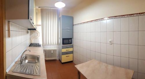 Apartament Raul tesisinde mutfak veya mini mutfak