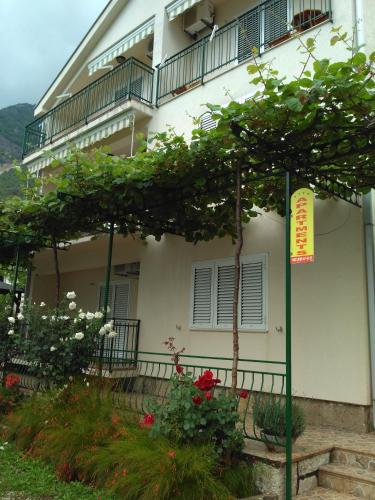 Gallery image of Apartmani Villa Radovic in Risan