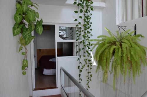 a room with two potted plants on the stairs at Hotel Romi in Colonia del Sacramento