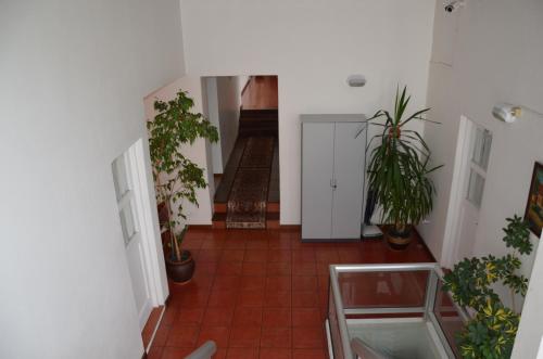 a hallway with potted plants on the floors of a building at Hotel Romi in Colonia del Sacramento